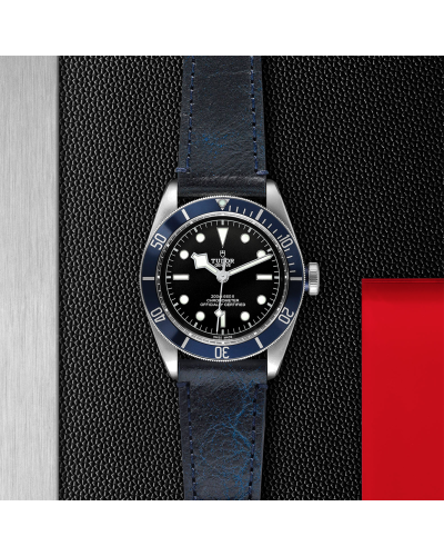 Tudor Black Bay 41 mm steel case, Aged leather strap (watches)
